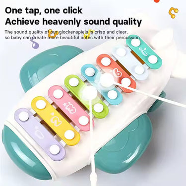 MUSICAL INSTRUMENTS XYLOPHONE